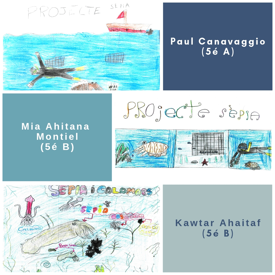 Tallers per a escoles: I els guanyadors són….