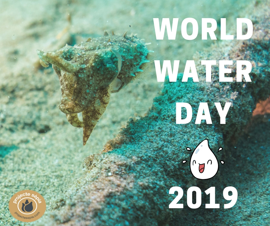 Sense blau no hi ha verd #WorldWaterDay2019