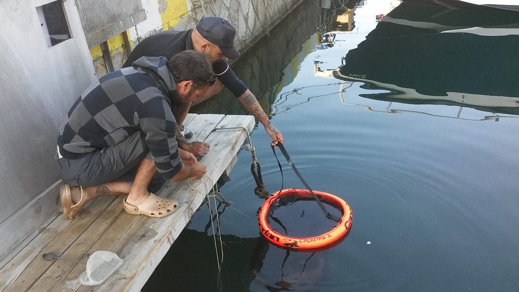 El primer pas és recuperar els ous de sípia i calamar que queden enganxats a les xarxes de pesca.