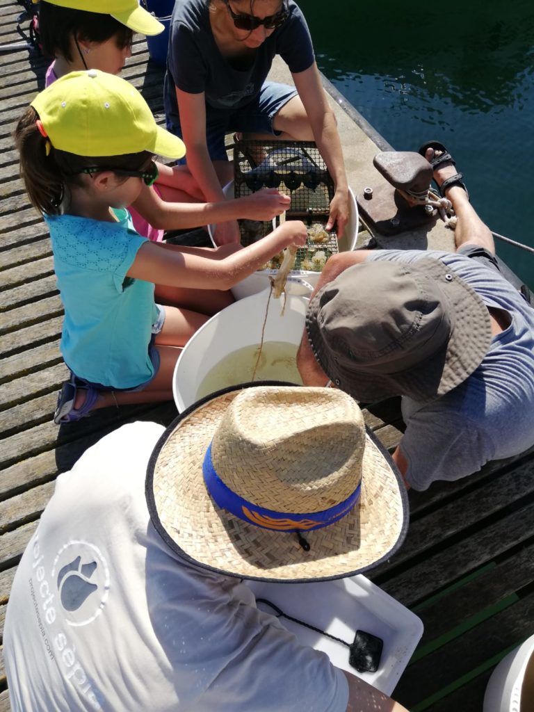 16 juliol comptem ous grup