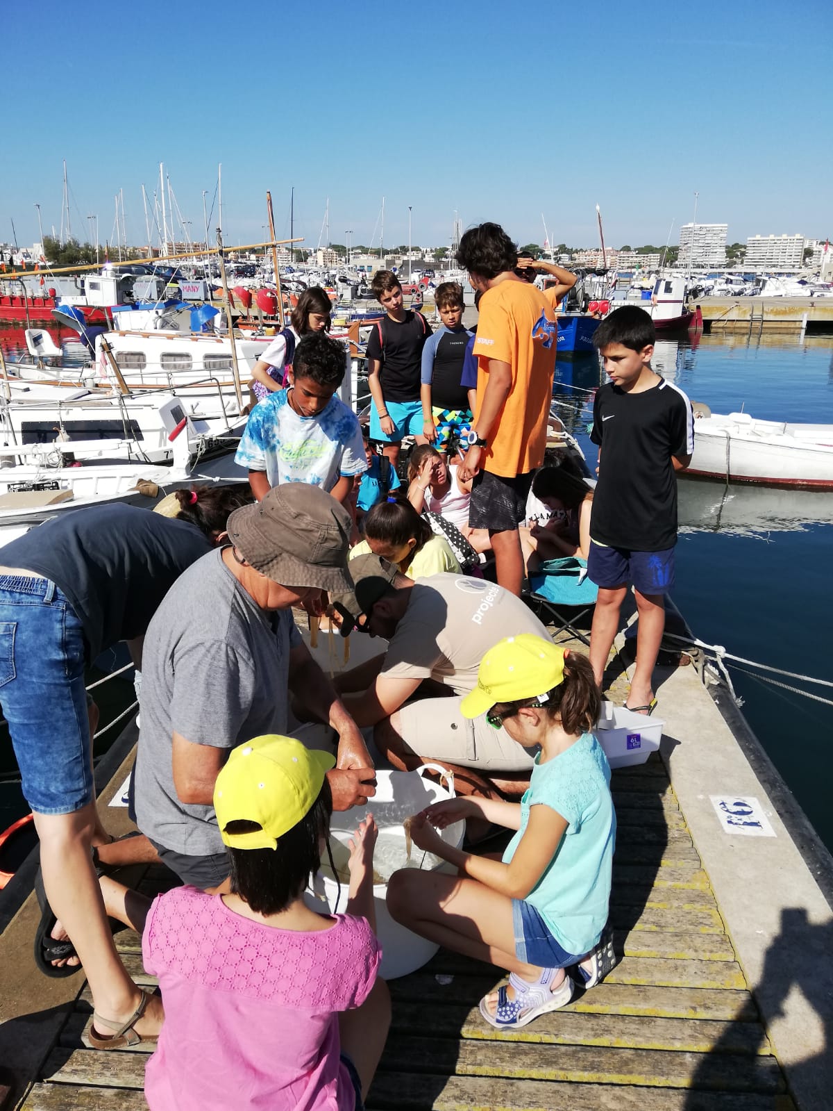 Seguim comptant ous!