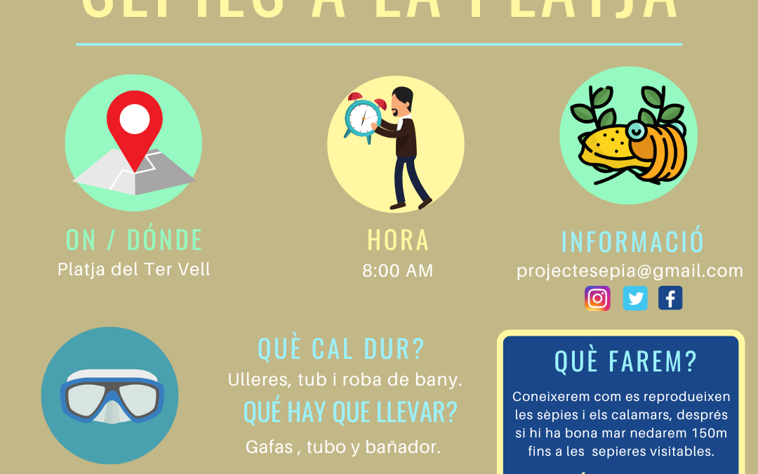 Sepies a la platja 2023!