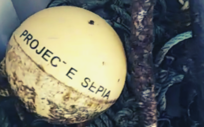 Retirem les «sepieres» abans dels temporals