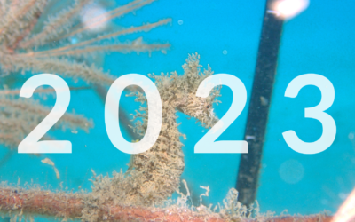 Tanquem el 2023 abans d’iniciar la temporada