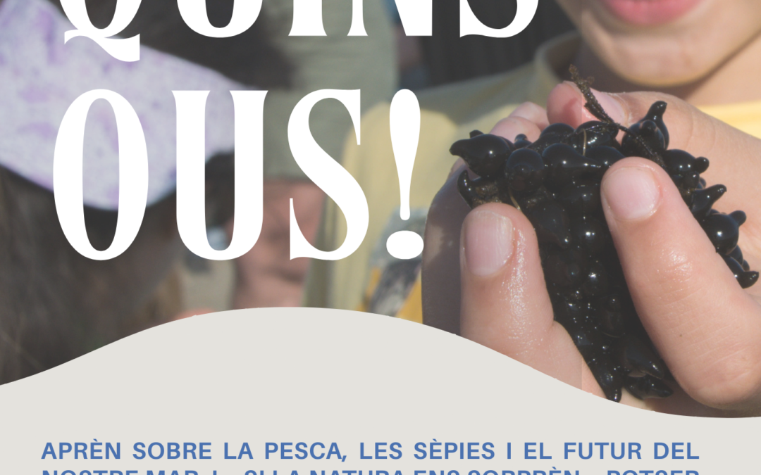 Quins ous! Pròxima activitat a Begur